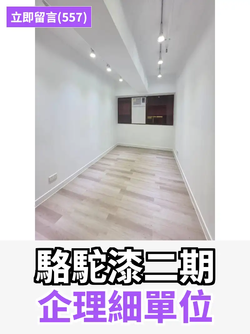 駱駝漆二期 企理細單位