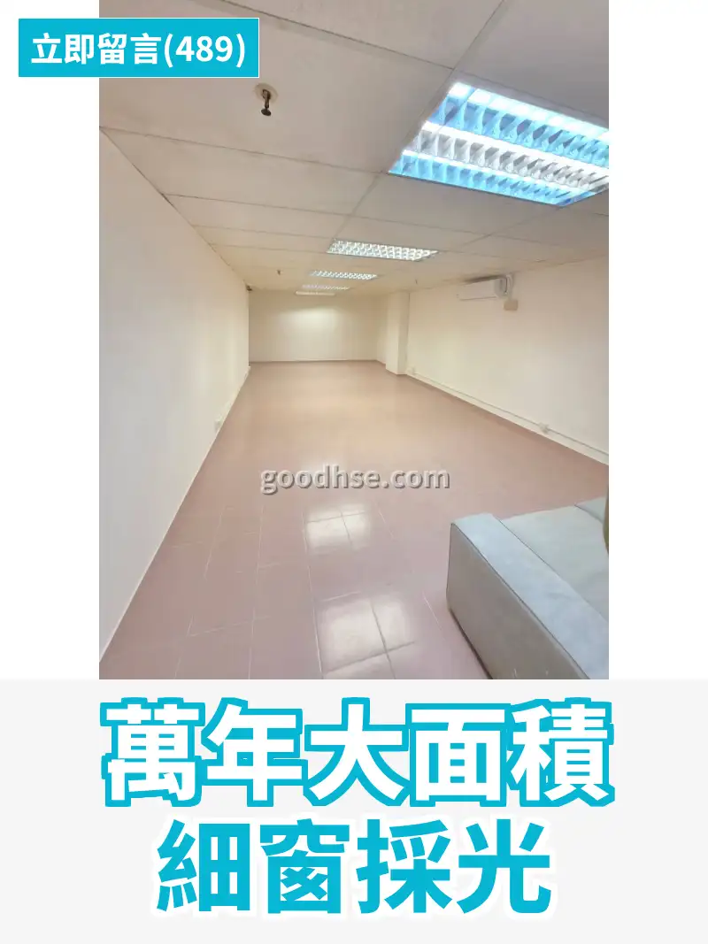 萬年大面積 細窗採光